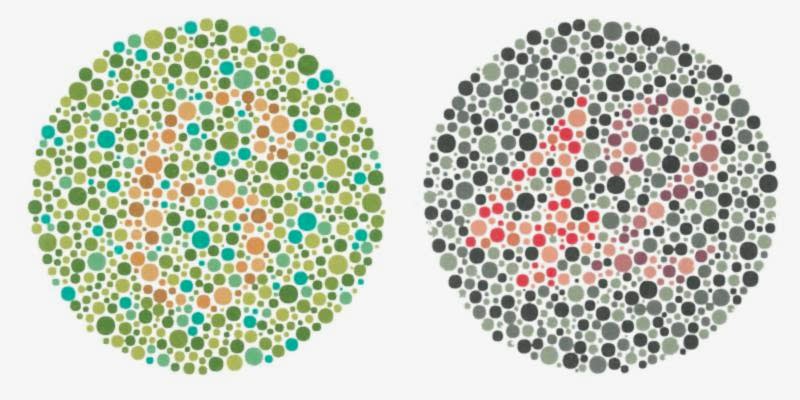 Renk körlüğü valör optik